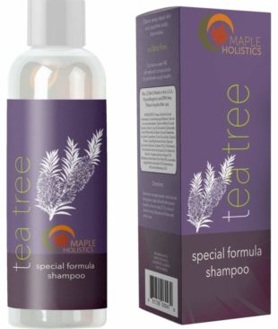 Maple Holistics Sulfate Free Dandruff Shampoo