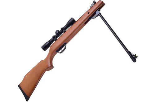 National Standard Products® Break Barrel Air Rifle with Scope