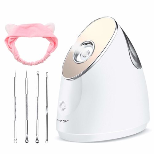  Warm Mist Humidifier Atomizer Precise Temp Control Touch switch Humidifier Moisturizing Face Spa Steamer
