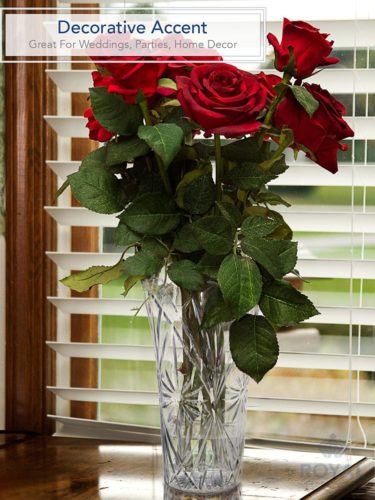 Royal-Imports-Flower-Acrylic-Vase-Decorative-Centerpiece-for-Home-or-Wedding-Non-Breakable-Plastic-1122-Tall-622-Opening-Clear