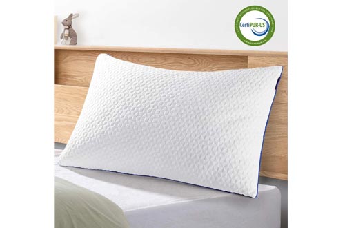 viewstar Bed Pillow for Sleeping King Size, Adjustable Shredded Memory Foam Pillows with Washable Zippered Cover Hypoallergenic Cooling Bamboo Pillows for Neck Pain Back Stomach and Side Sleeper 1 Pack