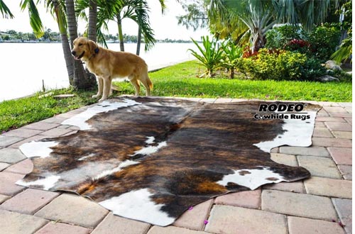 Amazing RODEO Cowhide Rugs Hair on Skin cowhides Tricolor Brown Large Size