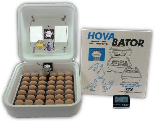HovaBator Advanced Egg Incubator Combo Kit: Includes Incubator, Fan kit, Egg Turner, Digital Thermometer/Hygrometer