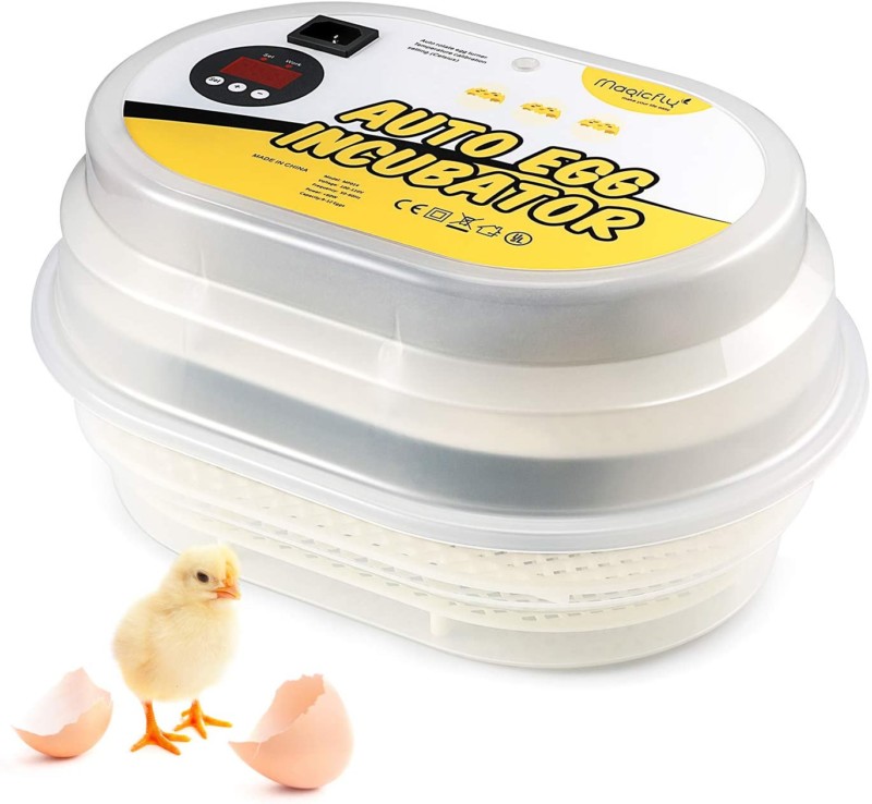Magicfly Digital Mini Fully Automatic Egg Incubator 9-12 Eggs Poultry Hatcher for Chickens Ducks Goose Birds