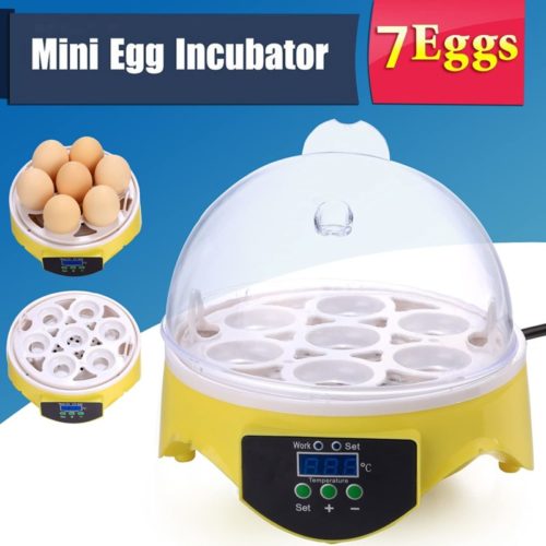Egg Incubator Noeler Digital Incubators for Chicken Duck Goose Quail Birds Fertile Eggs for Hatching,7 Eggs Incubators Easy Use